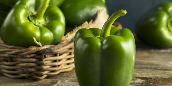 تصویر 2 از خرید و قیمت فلفل دلمه سبز شیرین + فروش صادراتی